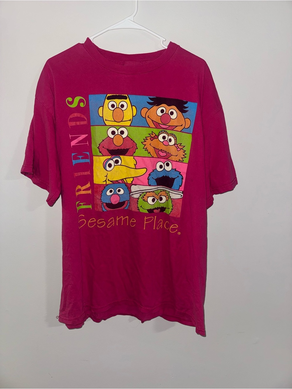 Vintage Sesame Place "Friends" Graphic Tee - Tultex - XL - Pink